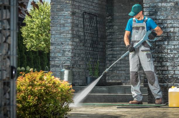 Best Boat and Dock Cleaning  in Wamac, IL